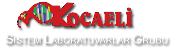 Kocaeli  Sistem Laboratuvarlar Grubu